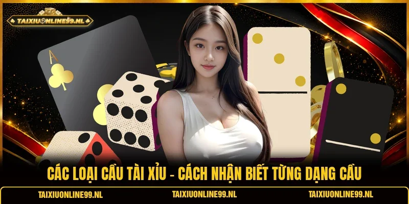 Các Loại Cầu Tài Xỉu - Cách Nhận Biết Từng Dạng Cầu